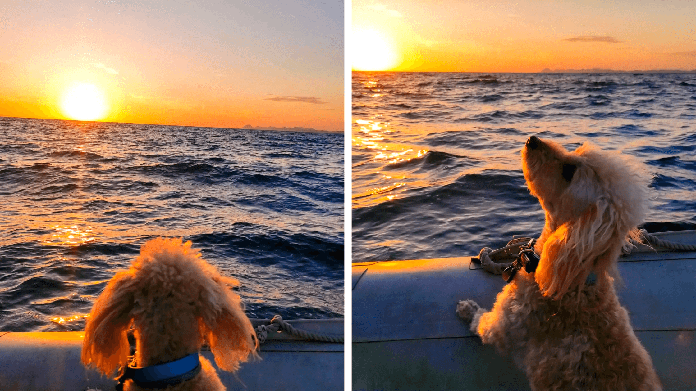 https://backend.blacksails-yachting.com/wp-content/uploads/2025/01/Marty.png