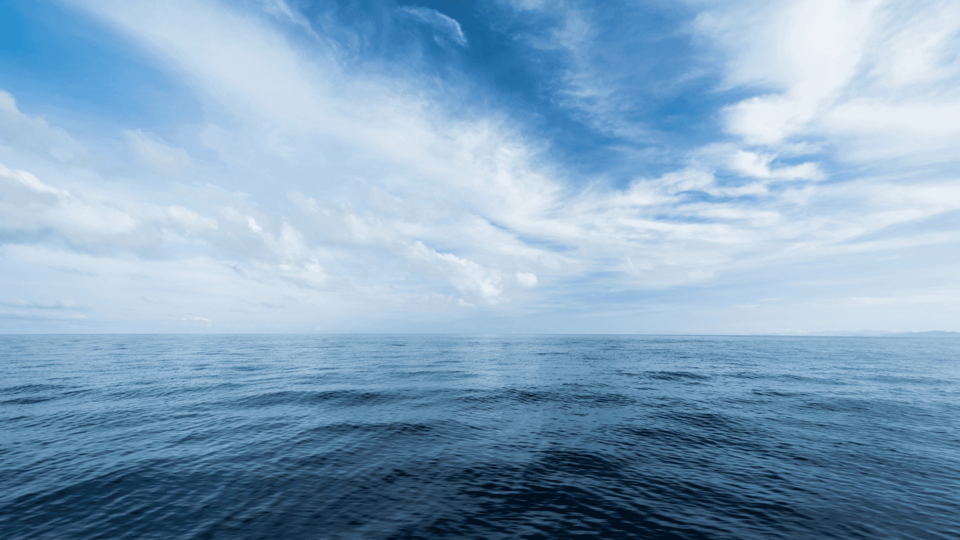 https://backend.blacksails-yachting.com/wp-content/uploads/2025/07/Seekrankheit-2.png