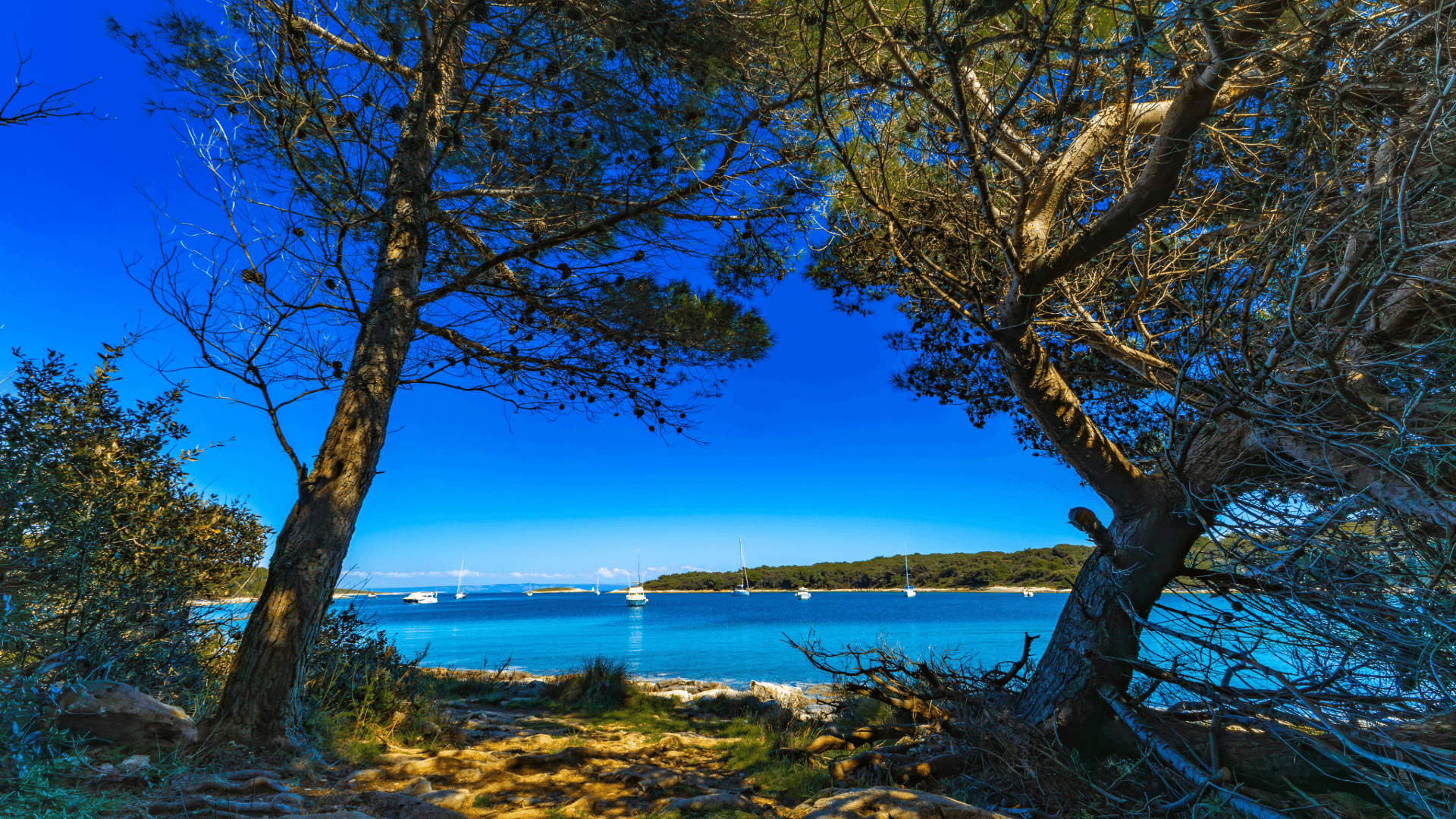 Blick auf eine idyllische FKK-Badebucht in Kroatien mit türkisblauem Wasser, umgeben von unberührter Natur – ein perfekter Ort für FKK-Segeln und entspannte Momente im Mittelmeer.