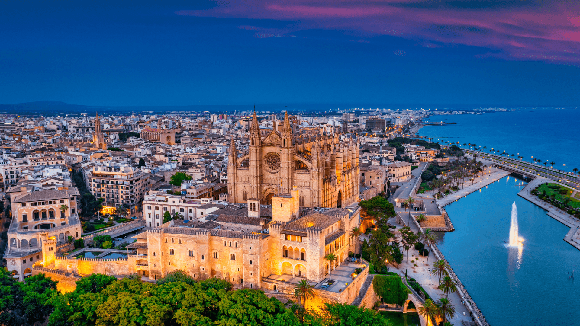 Palma de Mallorca am Abend, wunderschön beleuchtet mit Blick auf die Kathedrale La Seu und den Hafen – ein Highlight für Segler und Reisende.