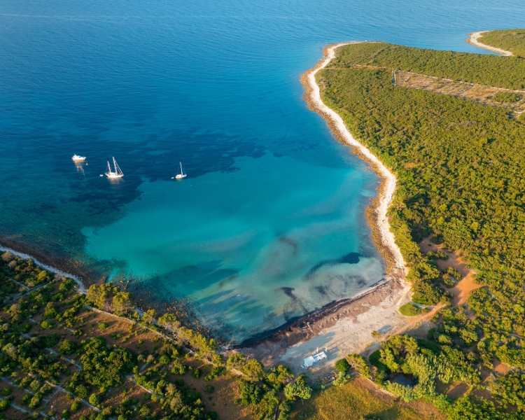 Segelboote vor Anker in einer geschützten Bucht bei Ilovik, umgeben von dichtem Grün und klarem Wasser