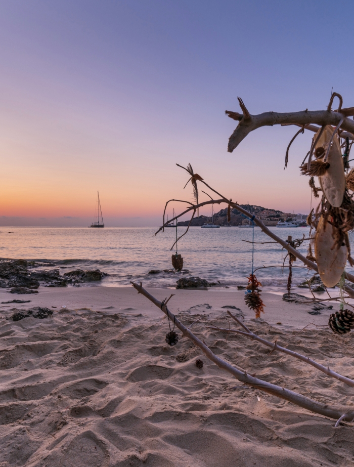 Sonnenuntergang über einer ruhigen Bucht auf Mallorca mit ankernder Segelyacht im Hintergrund und Dekozweigen im Vordergrund – stimmungsvolle Szene für Yachtcharter mit BlackSails-Yachting.