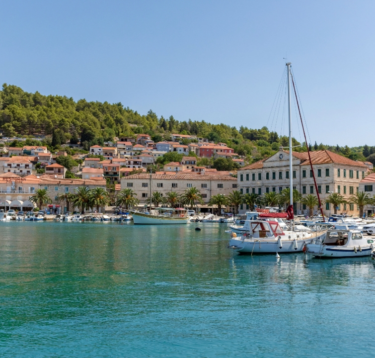 Stadt Vela Luka auf Korčula mit Palmen, Hafen und ruhiger Atmosphäre – Zwischenstopp beim Yachtcharter Mitteldalmatien mit BlackSails-Yachting