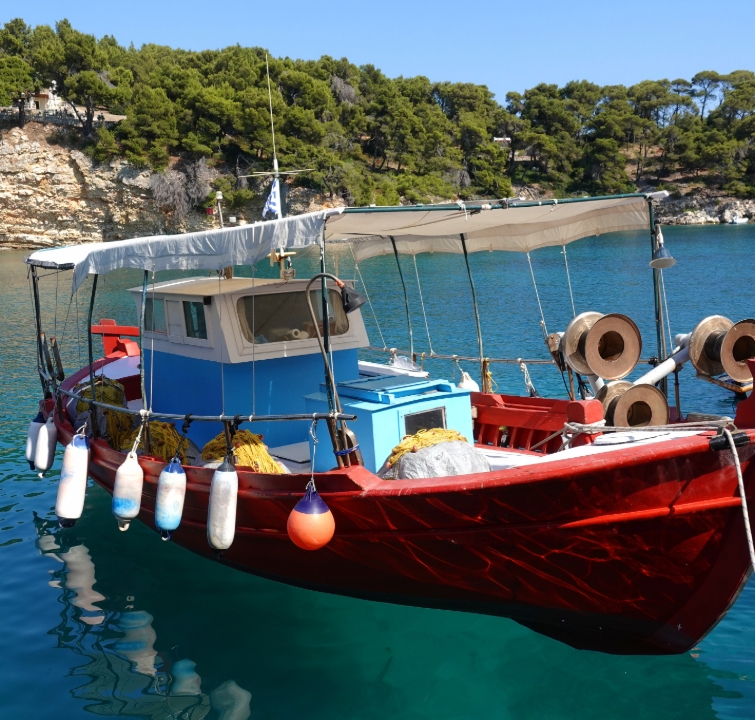 Traditionelles rotes Fischerboot in türkisblauem Wasser vor bewaldeter Küste – authentische Begegnung beim Yachtcharter mit BlackSails-Yachting.