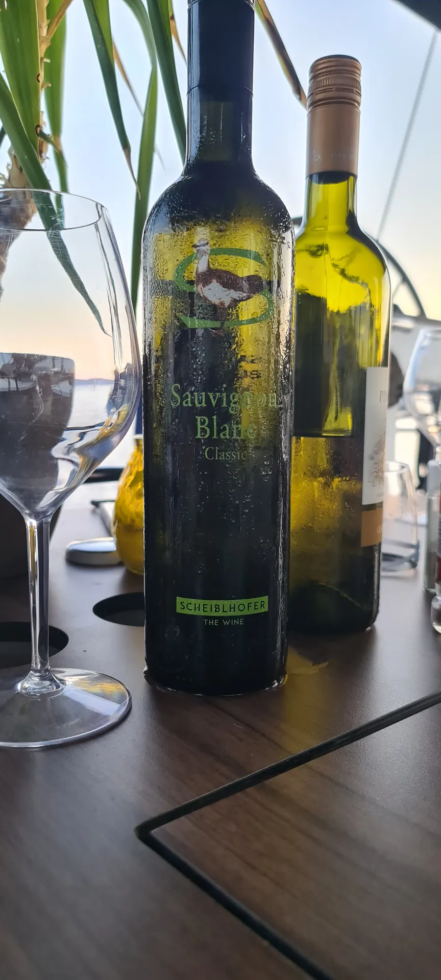 Sauvignon Blanc an Bord der Sauvignon Blanc, der Namensgeber