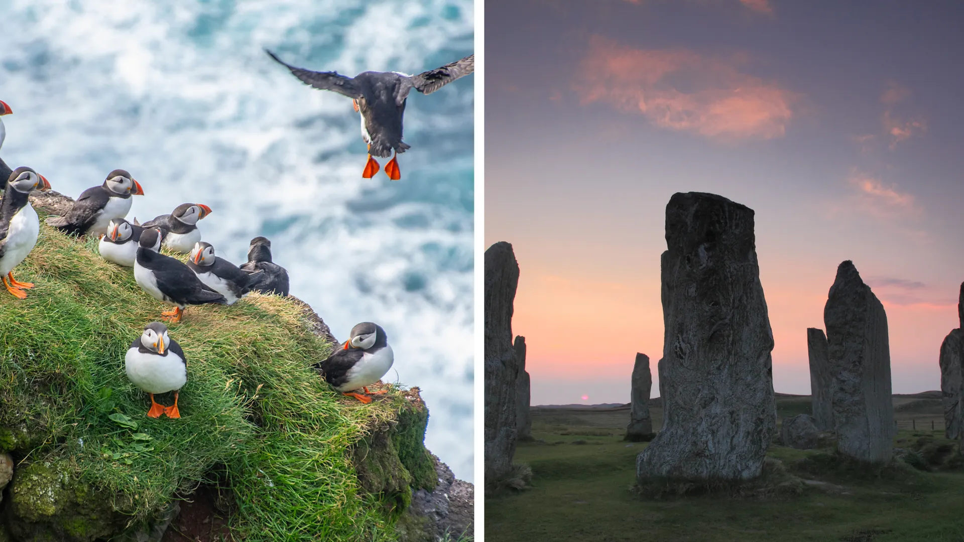 Links ein Papageientaucher auf den Shetland-Inseln, rechts geheimnisvolle Steinkreise in Schottland – eine Kombination aus beeindruckender Natur und uralter Geschichte.