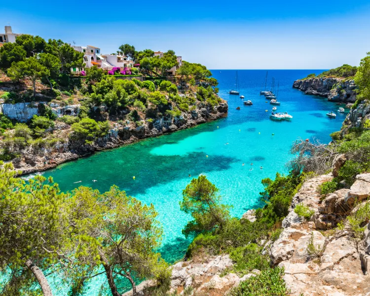 Segelboote in der türkisfarbenen Bucht von Cala Pi auf Mallorca, umgeben von Klippen und Pinien