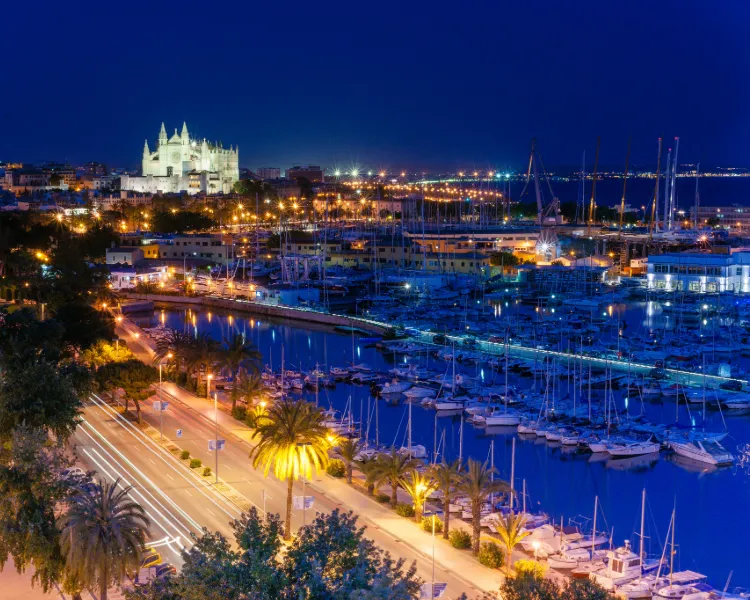 Blick auf die Marina von Palma de Mallorca bei Nacht mit beleuchteter Kathedrale im Hintergrund