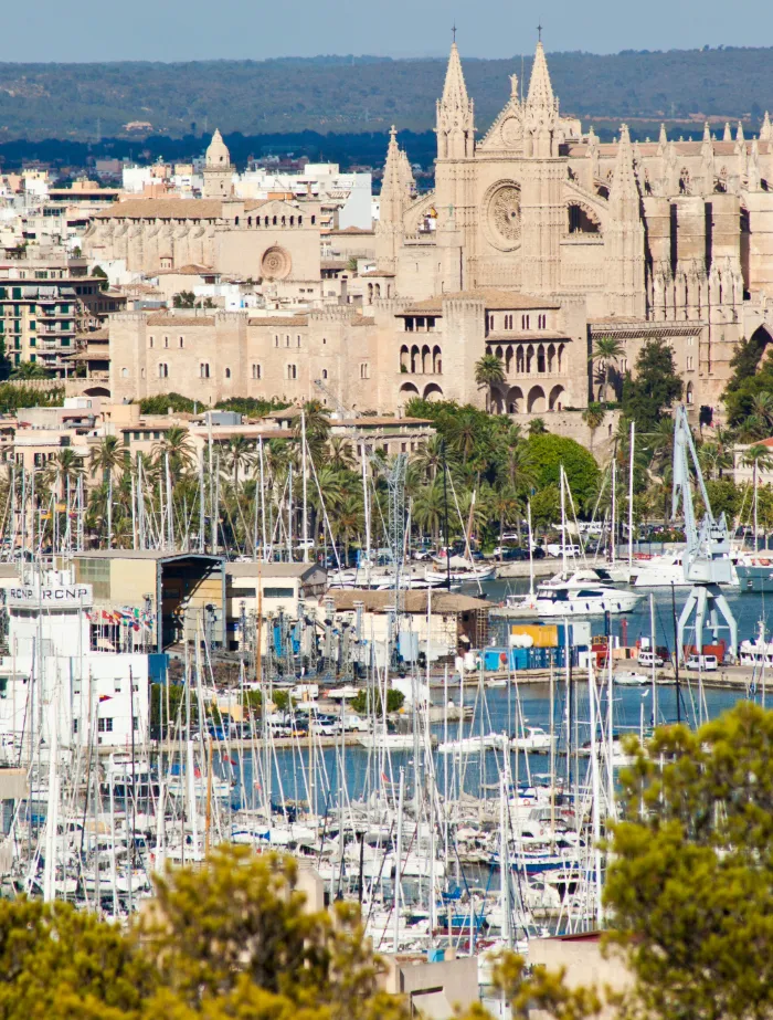 Panorama des Hafens von Palma de Mallorca mit der Kathedrale La Seu im Hintergrund und unzähligen Segelyachten – Startpunkt für exklusive Törns mit BlackSails-Yachting.