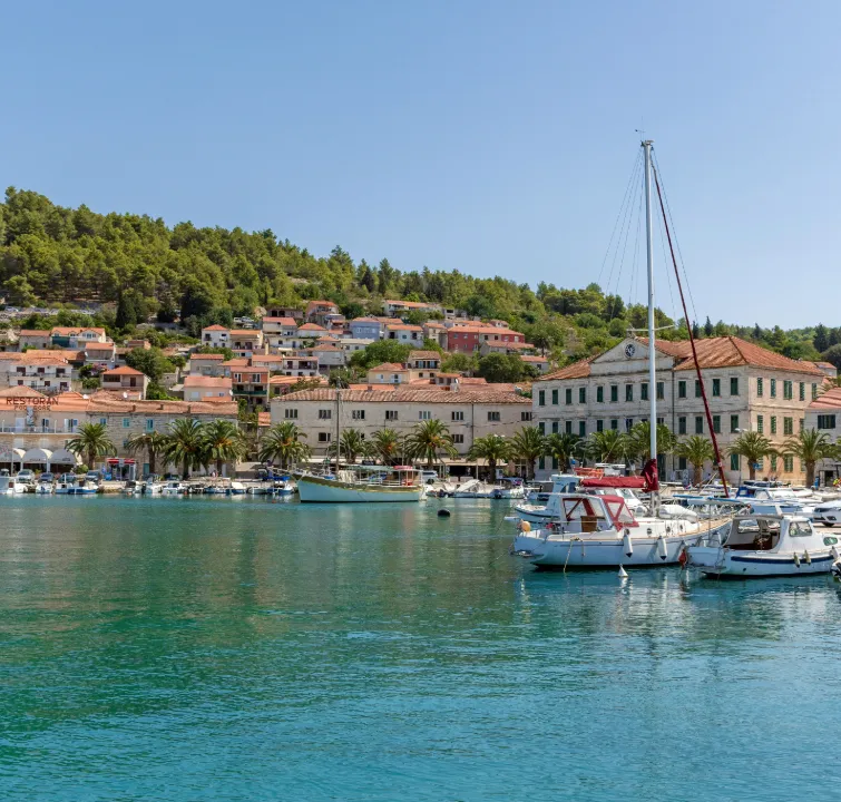 Stadt Vela Luka auf Korčula mit Palmen, Hafen und ruhiger Atmosphäre – Zwischenstopp beim Yachtcharter Mitteldalmatien mit BlackSails-Yachting