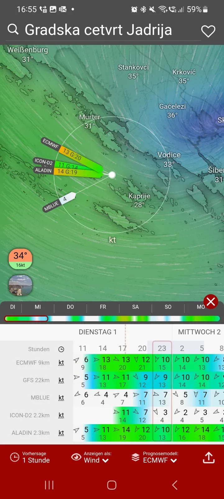 Screenshot der Windy-App mit grafischem Vergleich von fünf Wettermodellen zur Windrichtung, Windstärke und Böen.